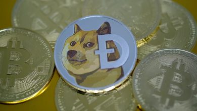 Dogecoin (DOGE) 1 Dolara Ulaşırsa, Hala Şaka Parası mı Olacak?