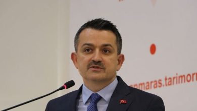 Pakdemirli: 56 bin 400 aileye 1.8 milyar lira hayvancılık desteği verdik